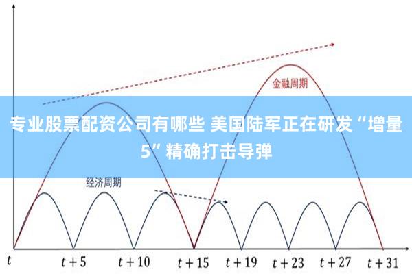 专业股票配资公司有哪些 美国陆军正在研发“增量5”精确打击导弹