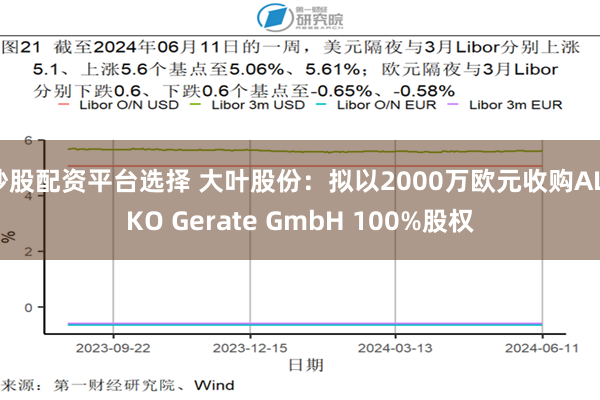 炒股配资平台选择 大叶股份：拟以2000万欧元收购AL-KO Gerate GmbH 100%股权