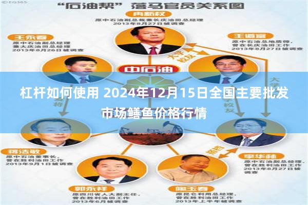 杠杆如何使用 2024年12月15日全国主要批发市场鳝鱼价格行情