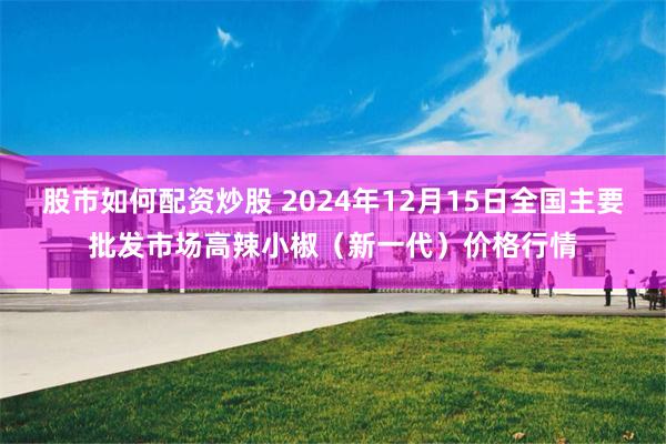 股市如何配资炒股 2024年12月15日全国主要批发市场高辣小椒（新一代）价格行情