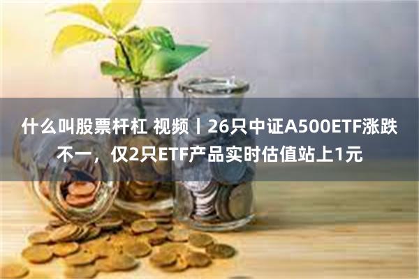 什么叫股票杆杠 视频丨26只中证A500ETF涨跌不一，仅2只ETF产品实时估值站上1元