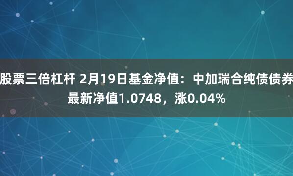 股票三倍杠杆 2月19日基金净值：中加瑞合纯债债券最新净值1.0748，涨0.04%