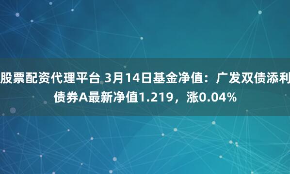 股票配资代理平台 3月14日基金净值：广发双债添利债券A最新净值1.219，涨0.04%